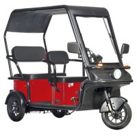 Электротрицикл Wanshida NIPLA 570 60V 1000Вт Красный