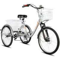 Электровелосипед РВЗ Чемпион 250W 10Ah серебро