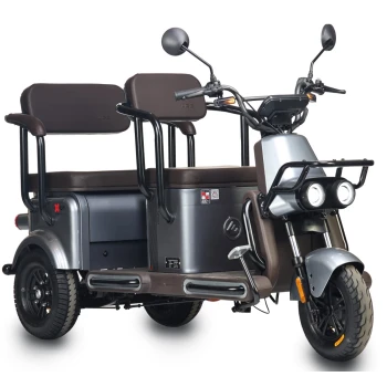 Электротрицикл Wanshida U1-X 60V 800Вт Белый