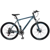 Велосипед Tech Team SPRINT 26"х17" серый